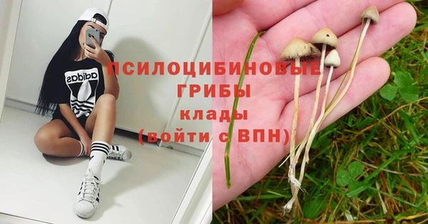 героин Анива
