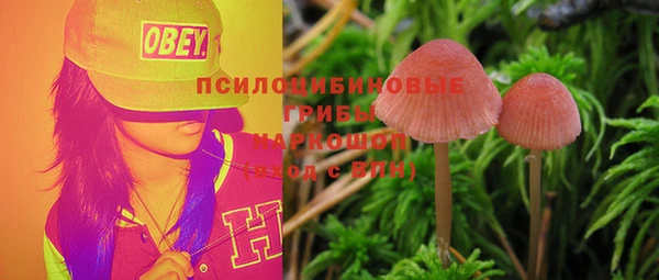 мяу мяу кристалл Анжеро-Судженск